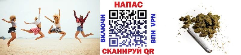 Шишки марихуана марихуана  Багратионовск 